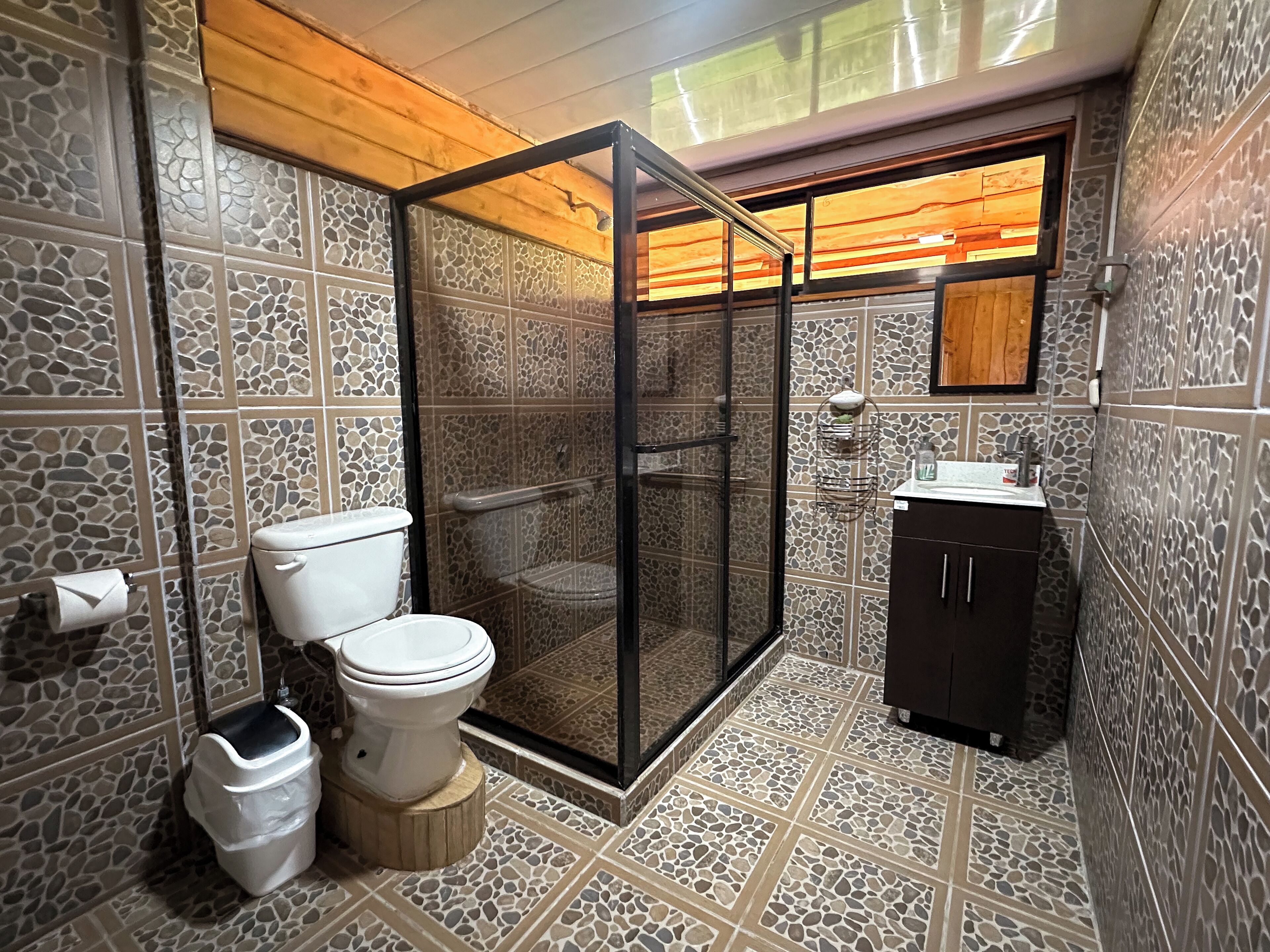 Shower, bidet, towels, soap