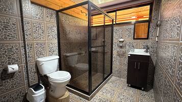 Shower, bidet, towels, soap