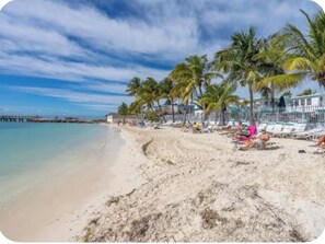 Unclassified image, 3 of 24, button