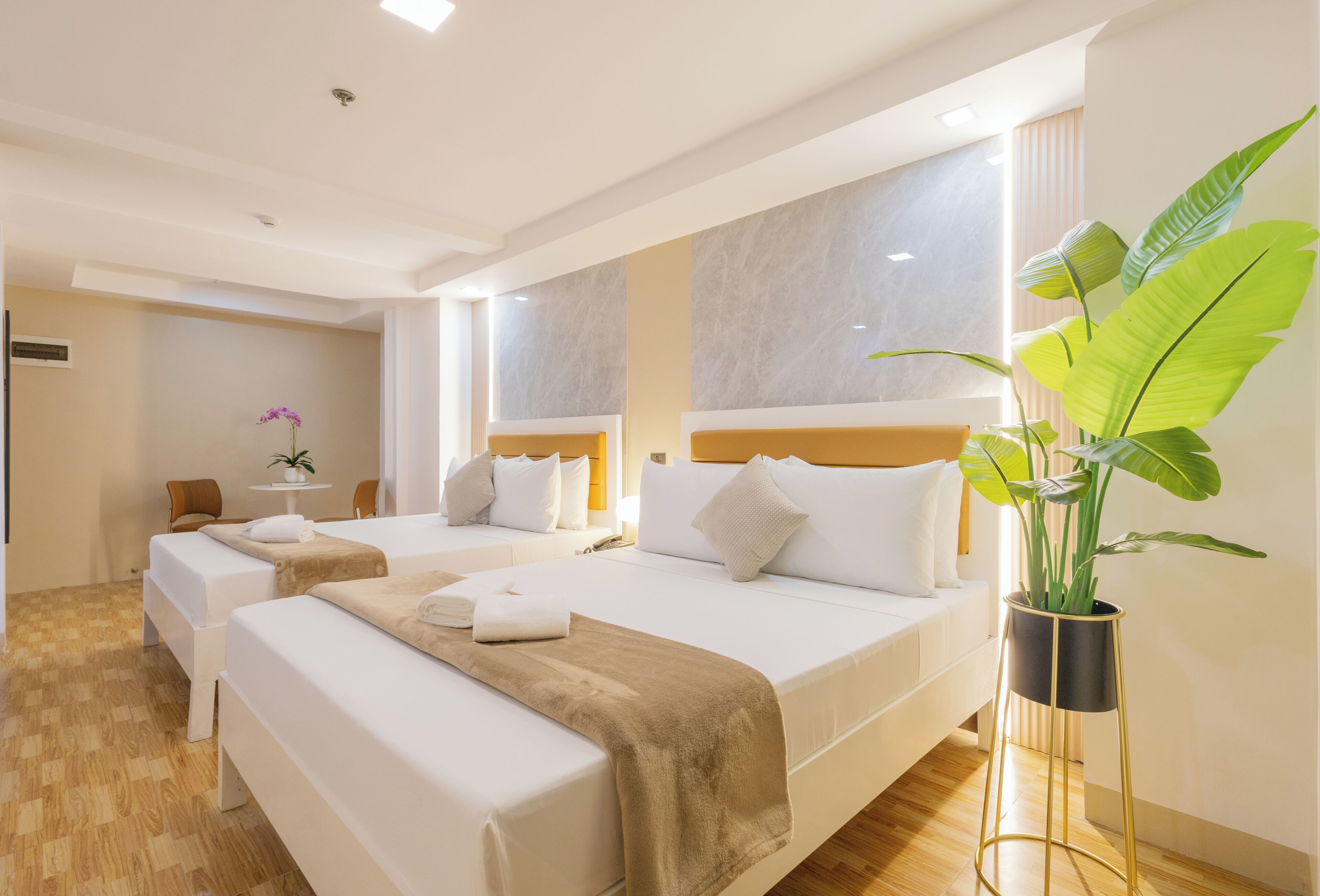 Deluxe szoba két külön ággyal | Ingyenes wifi