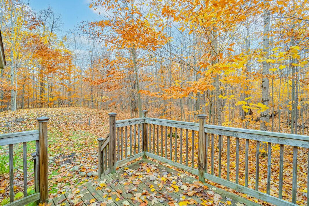 A wooden deck with a railing overlooking a forest of autumn-colored trees.