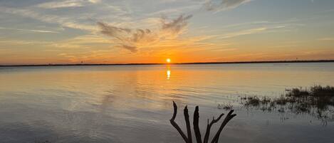 A sunset over a calm body of water with a grassy shoreline and a tree in the foreground.