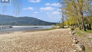 A beach with a pier, trees, and a mountain in the background.