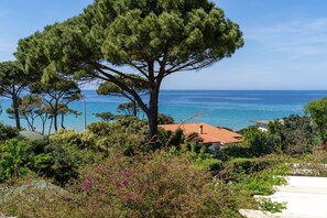 Property grounds - Appartamenti Procchio - Onda (Marciana)