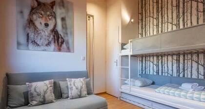 Comfortable Duplex in the City-center of Chamonix