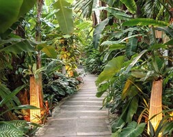 Jardín
