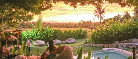 Garden view