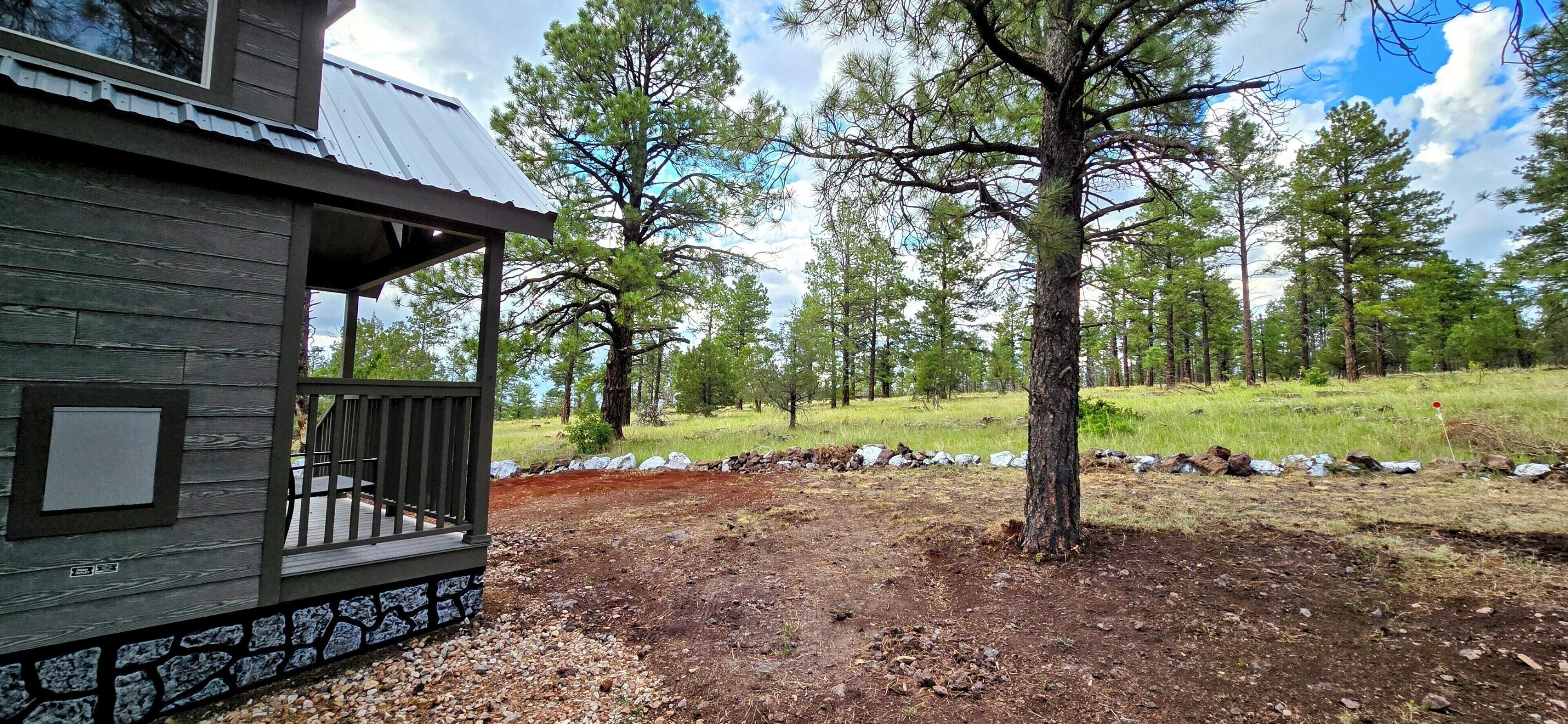 A cabin with a porch, surrounded by a forested area with a dirt path leading to it.
