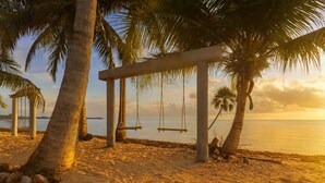 Une plage avec des palmiers et une balançoire.