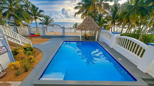 Une piscine rectangulaire aux parois bleues, entourée de rampes blanches et surmontée d’une structure à toit de chaume.