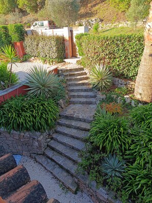 Imagen sin descripción, 4 de 13, botón