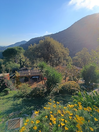 Property grounds. Villa Alexandra, room for rent, 10 min from the lake, Wedding, Hiking, Hunting.