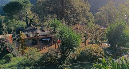 Villa Alexandra, room for rent, 10 min from the lake, Wedding, Hiking, Hunting.