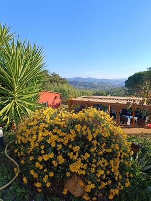 Imagen sin descripción, 3 de 13, botón