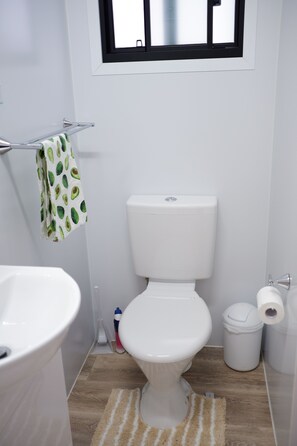 Hair dryer, towels, soap, toilet paper