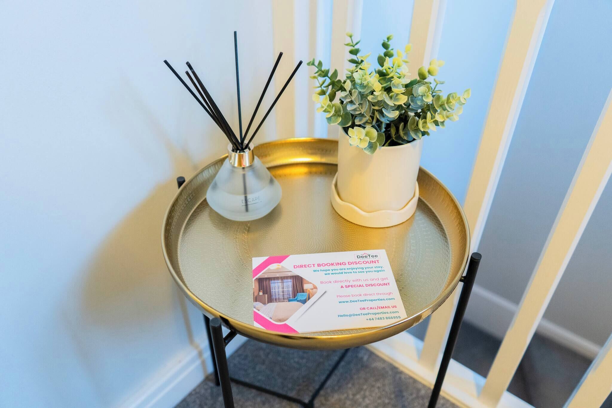 Una mesa con un folleto, un difusor de aroma de totora y una planta en maceta.