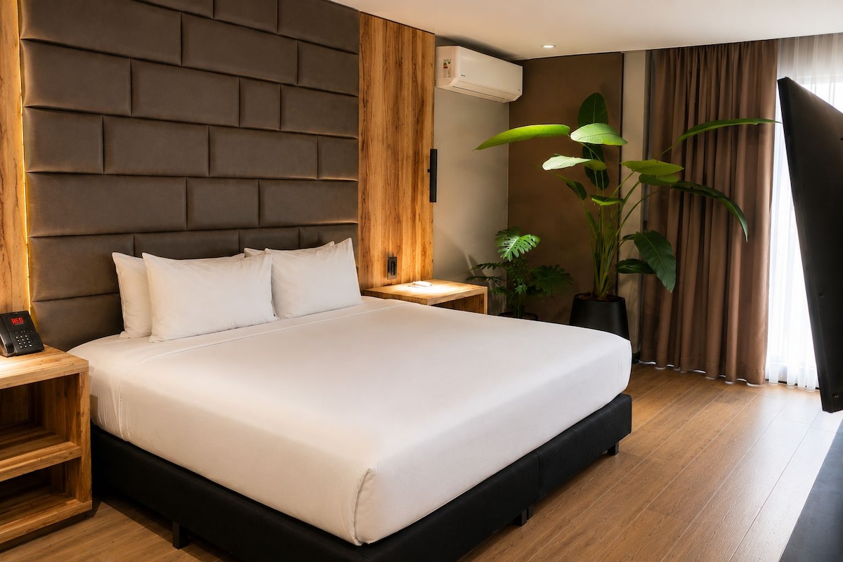 Habitación de hotel moderna con una cama grande, cabecero de madera, mesitas de noche, teléfono en la mesita y una planta en maceta.