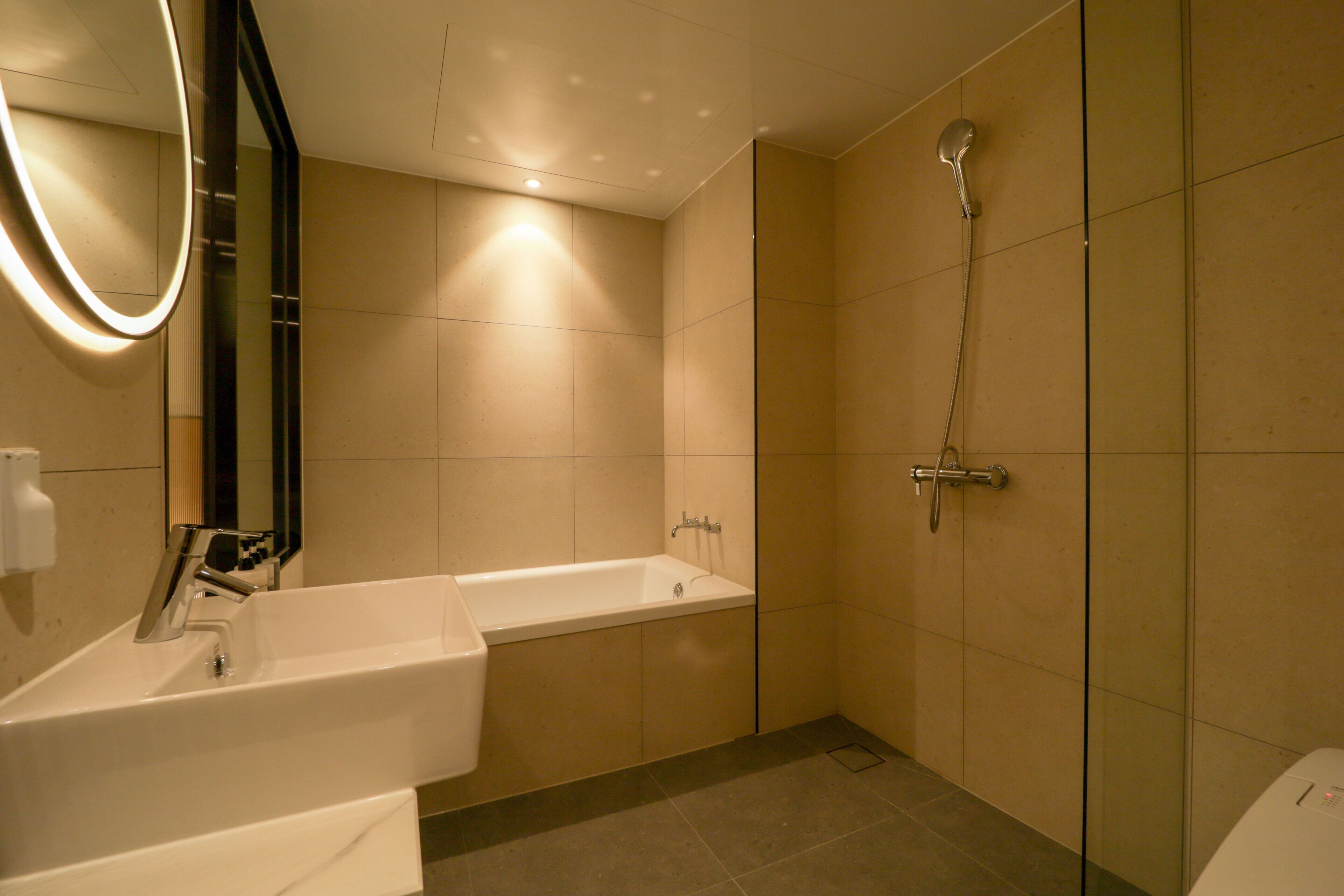 A modern bathroom with a bathtub, a shower, and a mirror.