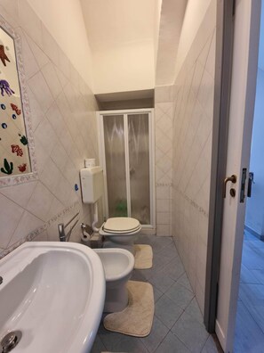 Ducha, secador de pelo, bidé y toallas