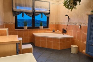 Shower, hair dryer, bidet - Holiday apartment in Vöhl with swimming pool (Vöhl)