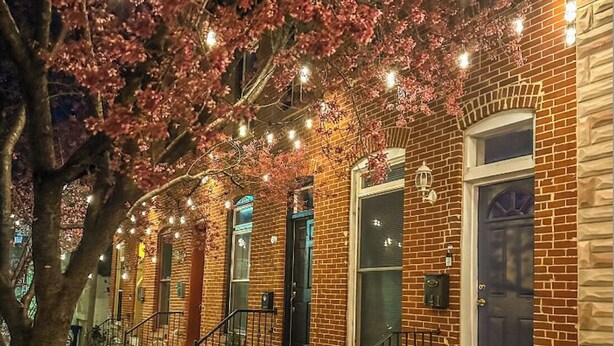 A row of brick townhouses with a tree in the foreground, a sidewalk, and string lights.