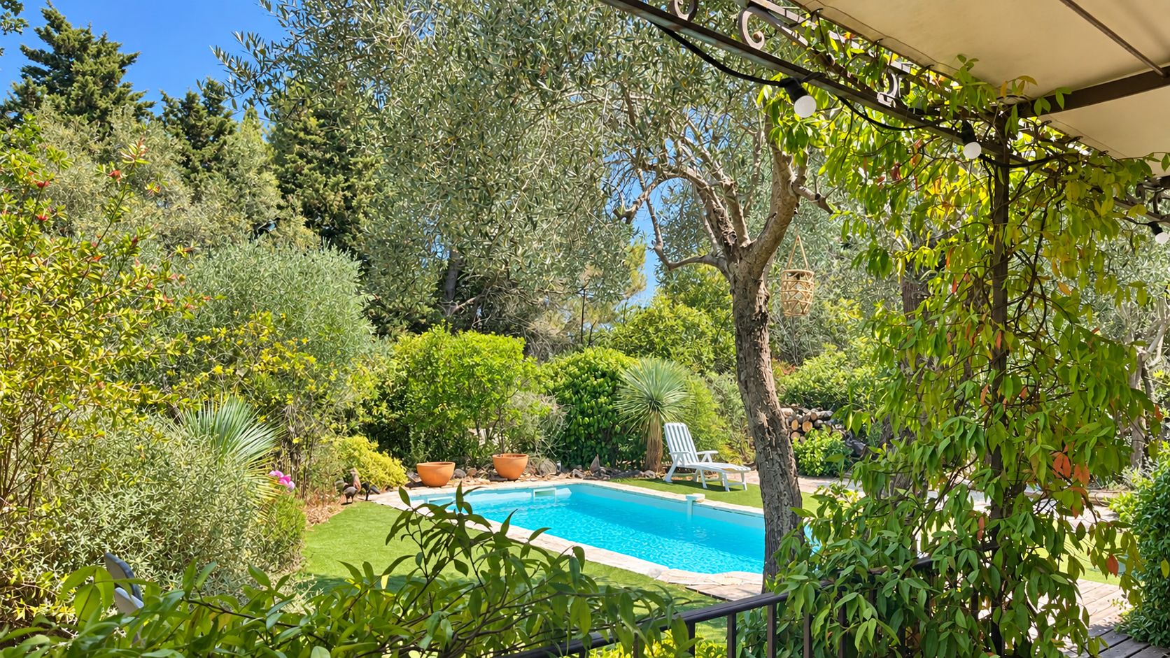 A pool surrounded by lush greenery and a white chair.