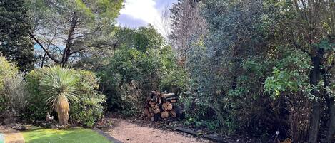Un jardín con diversos árboles, un césped pequeño y un montón de leña.