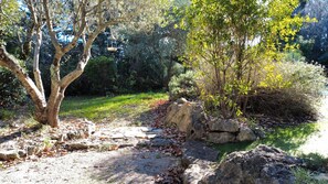 Property grounds - Air-conditioned Villa Les Oliviers with private pool & office in Saint-Paul-en-Forêt (Saint-Paul-en-Forêt)
