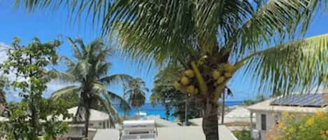 House, 2 Bedrooms, Balcony, Garden View | Pool