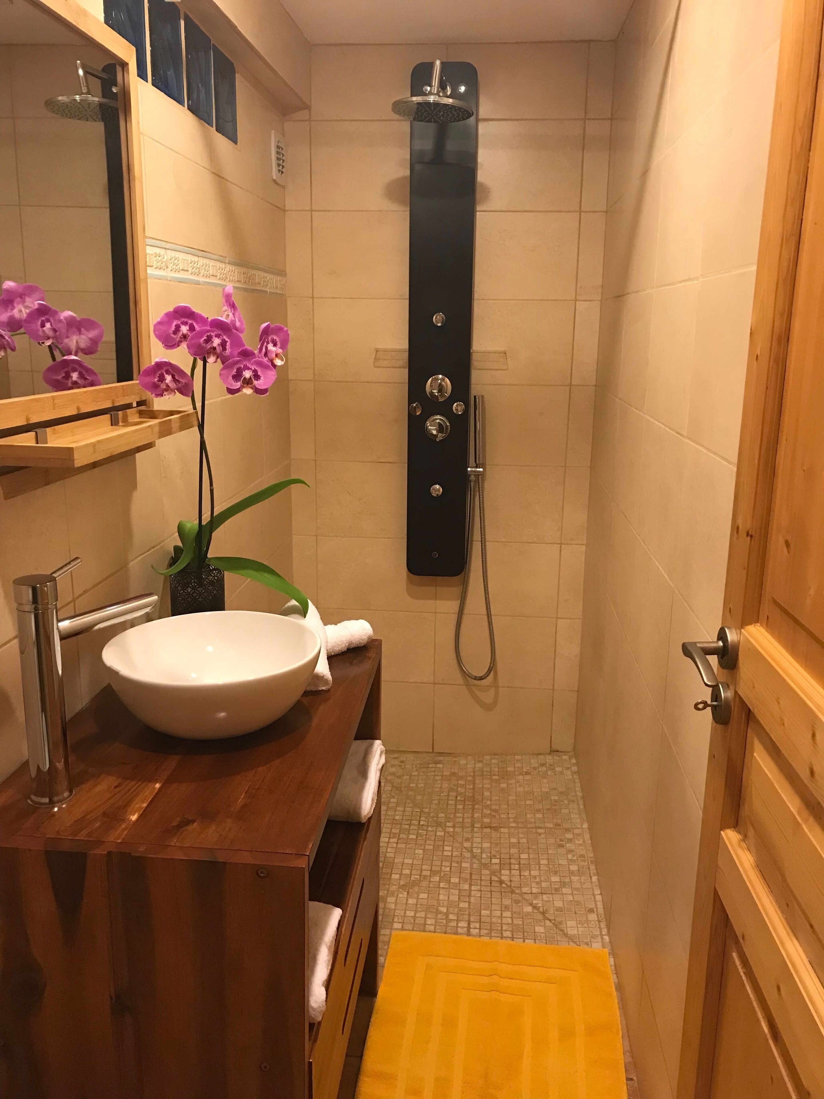 Douche, serviettes fournies, savon, papier toilette