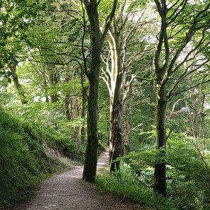 Unclassified image, 4 of 14, button