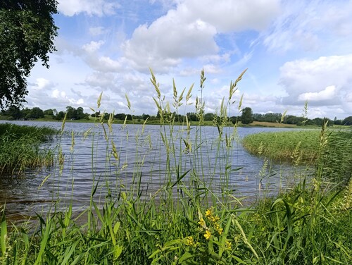 Quality apartment with a cabin vibe, close to Legoland!