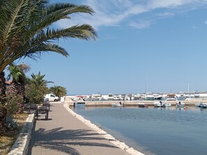 Vista desde la propiedad