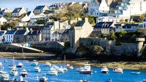 A coastal town with historic stone buildings, a fortified wall, and a marina with boats.