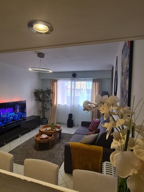 Living area - Large Studio very well located! 100m tramway, 5 minutes downtown, 10min beach! (Nice)