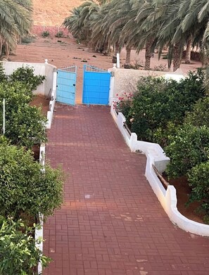 Unclassified image, 4 of 6, button - Authentic house in the heart of the oasis (Ghardaïa)