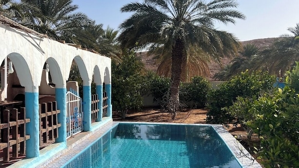 Una piscina con bordes de azulejos, rodeada de palmeras y un edificio con columnas azules y blancas.