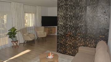 Televisor intel·ligent, llibres i pantalles d'ordinador