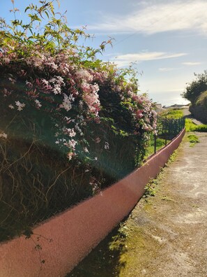 A pathway bordered by a red curb and lush greenery, leading to a view of the sea. - Golden Sun Refuge (Estreito da Calheta)