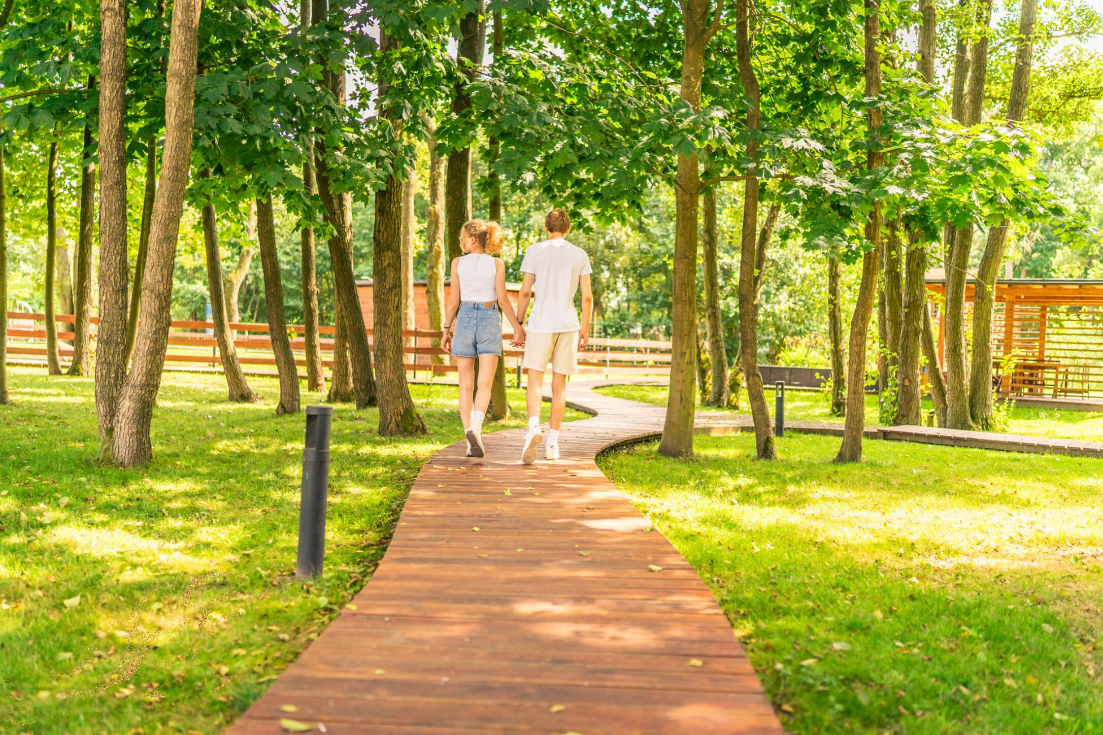 Ein Weg in einem Park, gesäumt von Bäumen.