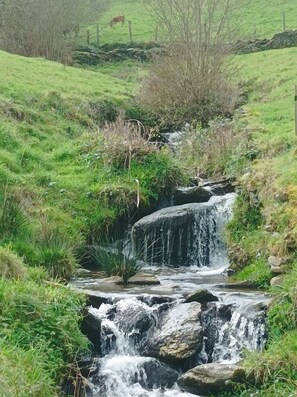 Luokittelematon kuva, 4 kautta 23, painike