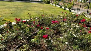 A landscaped area with a lawn and flower beds. - Oasis Residency and Resorts  (Solapur)