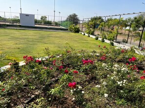 Utsikt mot trädgården