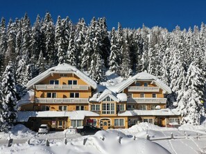 Exterior - Cosy apartment for 5 people with WIFI, TV, balcony and pets allowed (St Michael Im Lungau)