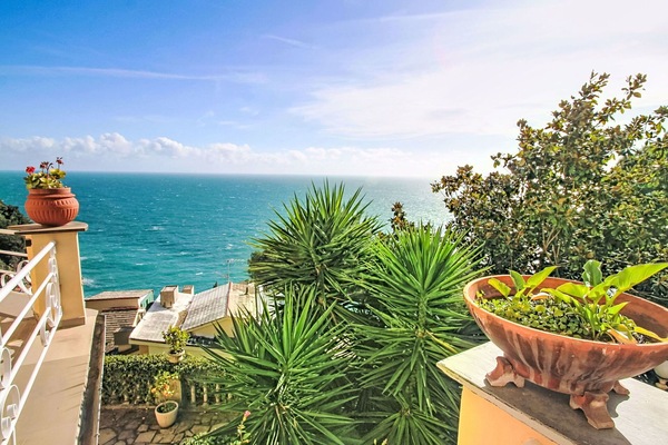 Blau, Meer, Horizont, Ozean, Küste, Küsten Und Ozeanische Forms, Blumentopf, Tropen, Balkon, Eco Hotel