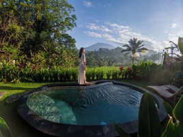 Villa exclusiva, 1 cama de matrimonio grande, balcón, vistas al jardín | Piscina privada