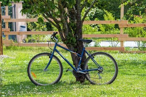 Ảnh chưa phân loại, 2 trong số 20 ảnh, nút