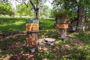 Exterior - Ecogîte Rural La Clé des Champs (Peyrelongue-Abos)