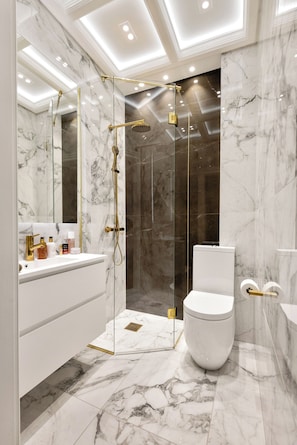 Regadera, secadora de cabello, bidet, toallas