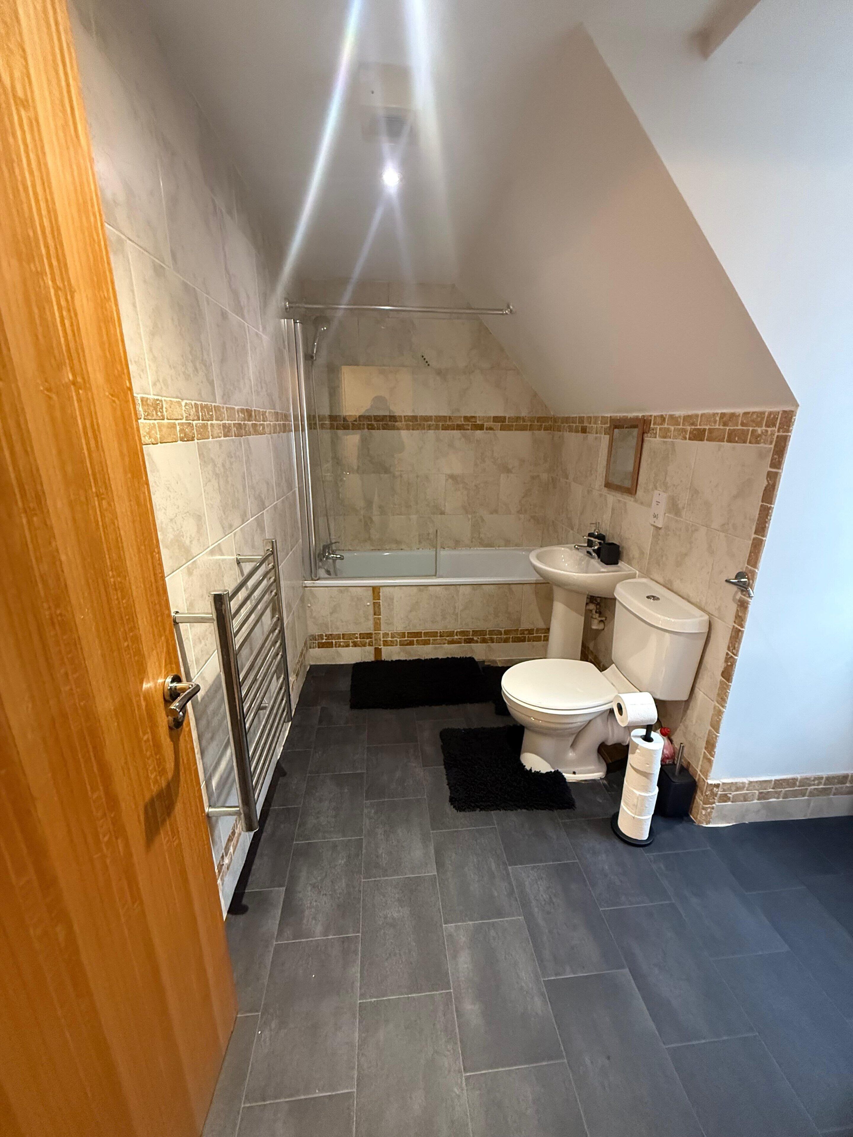 Shower, hair dryer, towels